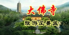 小萍萍挤奶亚洲有色中国浙江-新昌大佛寺旅游风景区